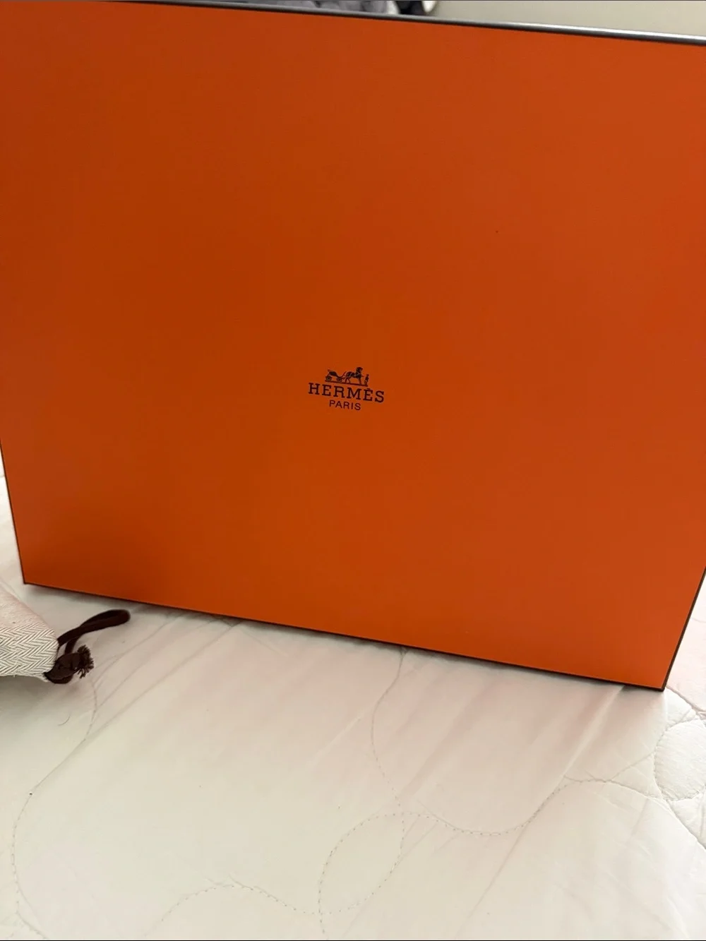 Hermes shoe Storage boxes with dust bags